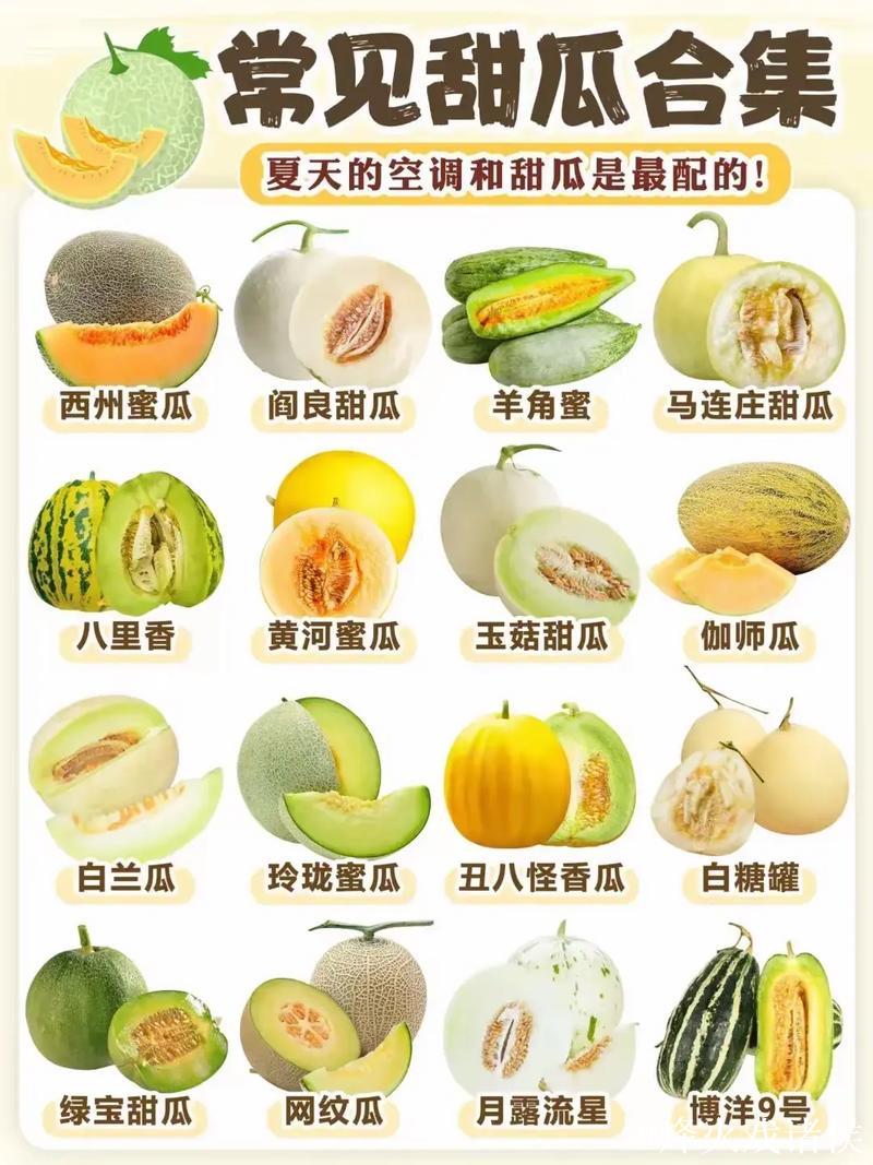 51热门吃瓜大事件盘点